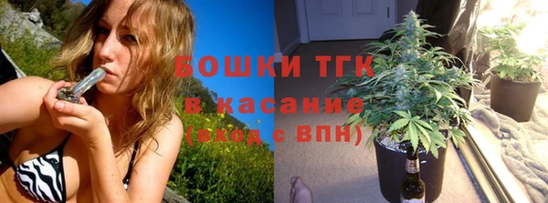 молекула духа Инта