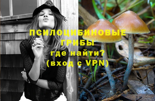молекула духа Инта