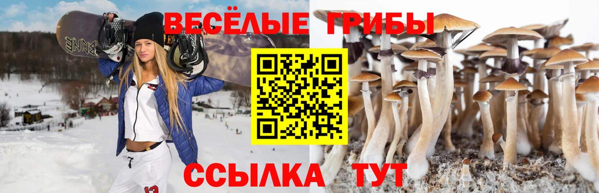 Избербаш  Псилоцибиновые грибы GOLDEN TEACHER  Вход с VPN 